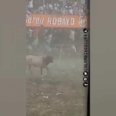 This just happened at a small town in Colombia during corralejas festivities.