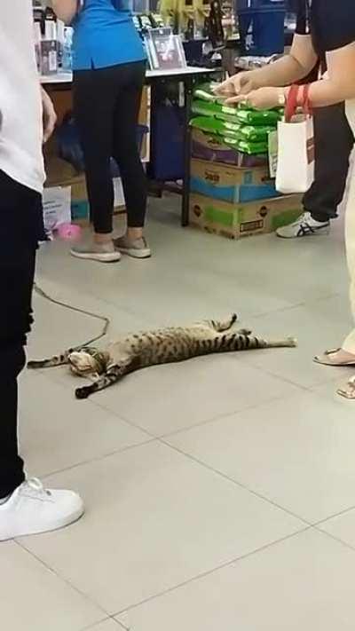 Somebody been hittin the catnip