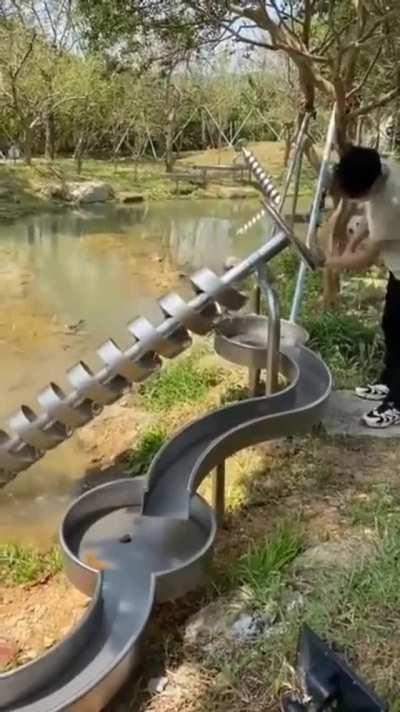 An Archimedes' screw is a machine used for transferring water from a low-lying body of water into irrigation ditches, Archimedes first described it around 234 BC.