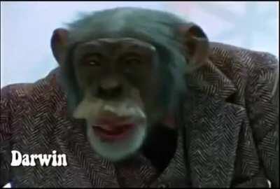 take a break and watch lancelot link