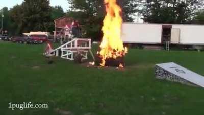 Would Make Evel Knievel Proud