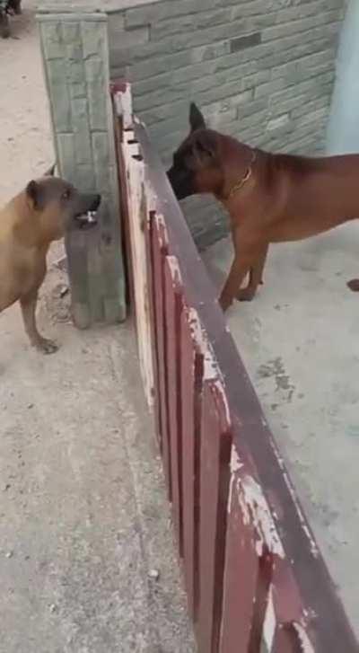 Who's the real jerk here?