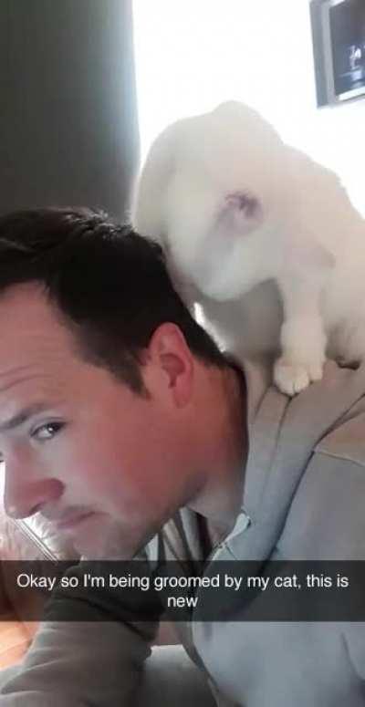 So as of this morning, my boy Fin has decided my hair needs a wash. This is new! Does anyone else ever get groomed by their kitty? And should I discourage this?