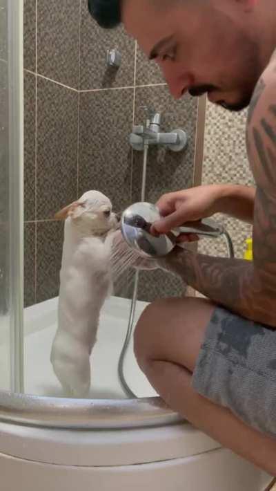 Something very sweet to brighten your day