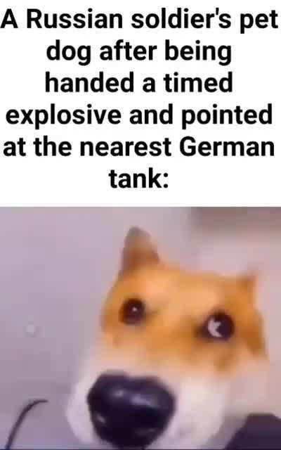 Average eastern front moment