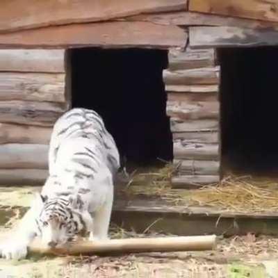 Persistence pays off!