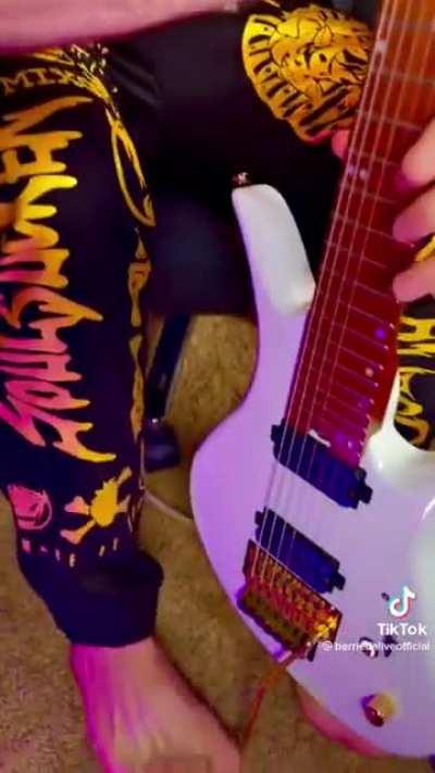 The amount of skill this man has (Credits: Berried Alive)