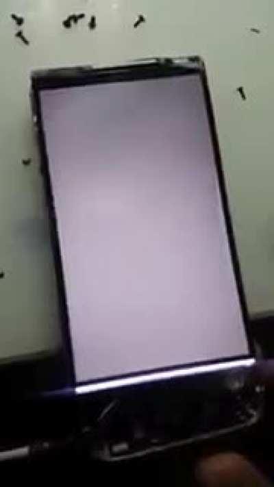 Tava querendo ver certas coisas sem ninguém saber.