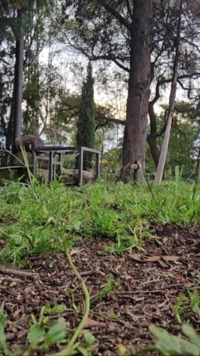 Help with my motor or nozzle