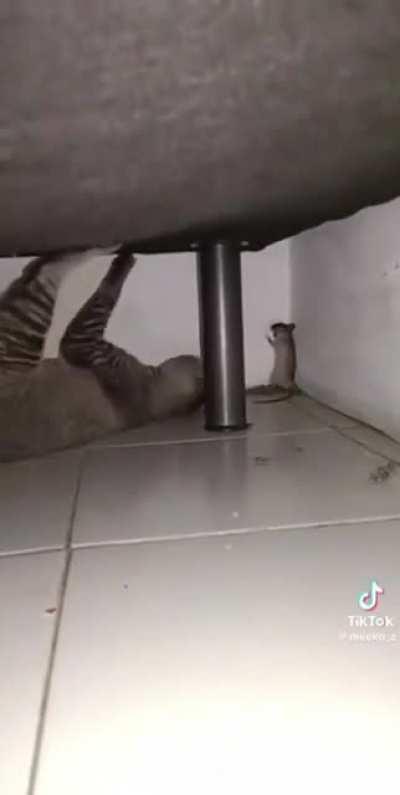 My druid friend just learned confusion magic 