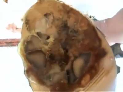 underglass snails squished by asian goddess