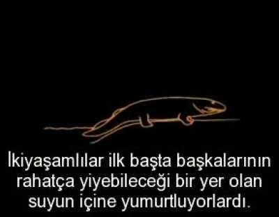 Carl Sagan'ın evrimi özetlediği videosu