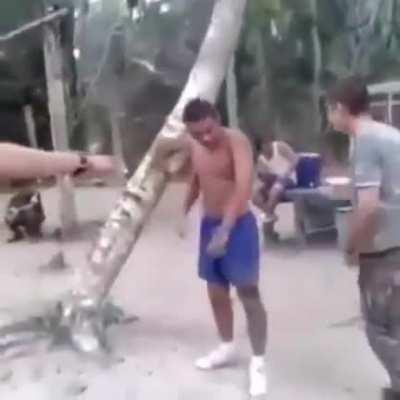 Dislocated Arm+ Tree