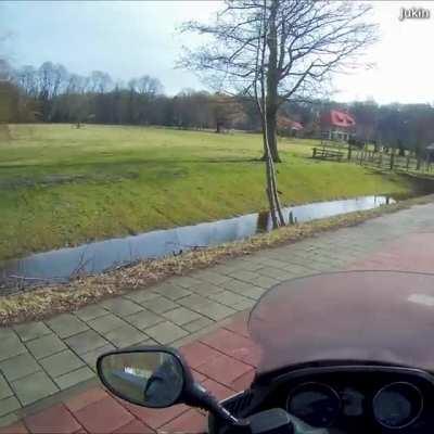 Вот почему мотоцикл лучше лошади. Мотоцикл не предаст тебя, не убежит в тар тарары. А ещё мотоцикл дешевле.