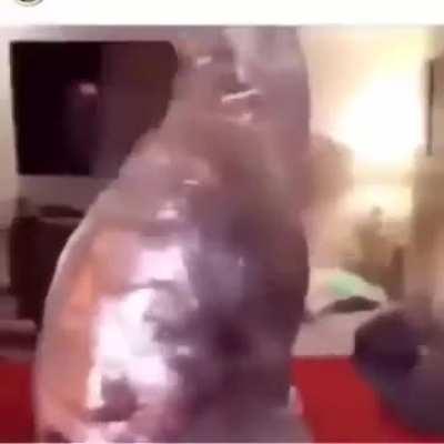 Should have parried tbh