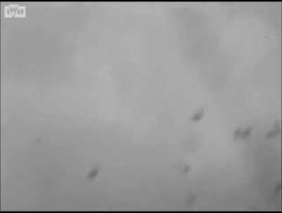 [WWII] V-1 Flying Bomb shot down by anti-aircraft fire detonates on impact with the ground