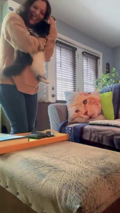 Oreo needs to be oiled