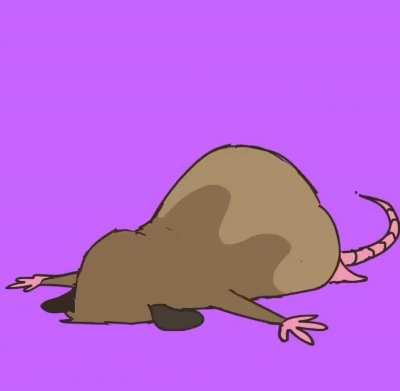 My Pico reaction 🐀