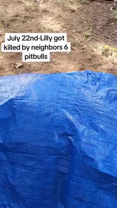 Woman's horse mauled and killed by neighbor's six pitbulls