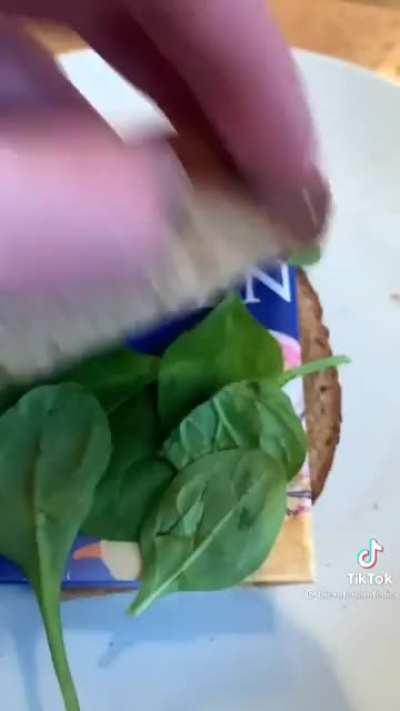 普通美国人眼中的轮友，笑死