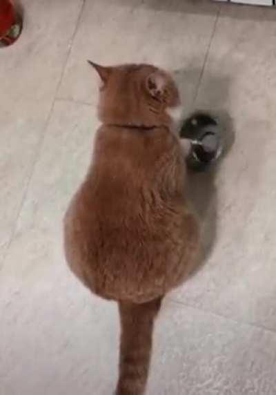 It’s dinner time dammit...