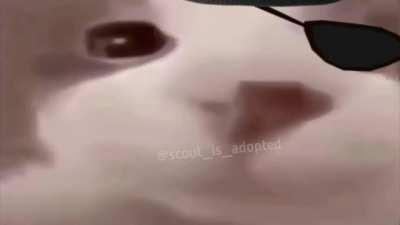 oh whats yer name you pretty little thing