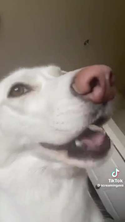 She's kinda spitting facts here