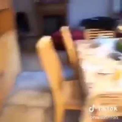 Ok but where did she get the chocolate bar