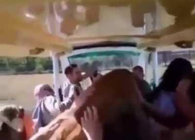 Watch Out For That Lion!