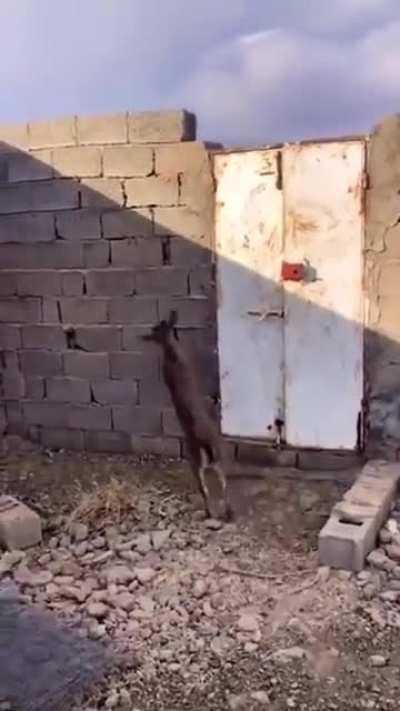 When you know physics