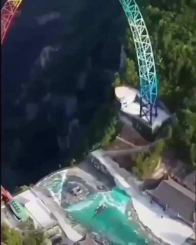 Screams of a lifetime.