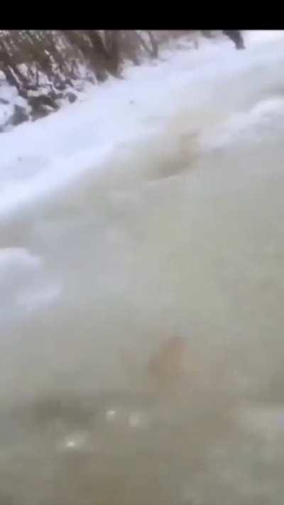 Dirtbiking on a frozen river, WCGW?