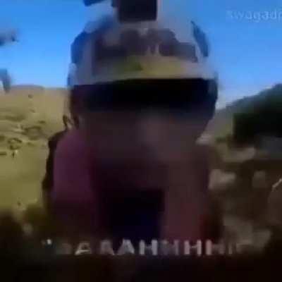 moldy stages of grief