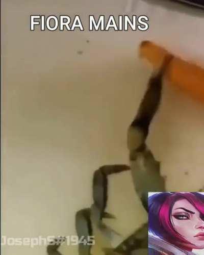 never changes still hate fiora mains