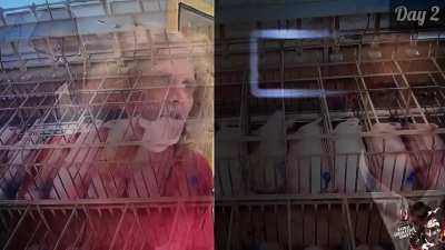 They are respectable feeling creatures 