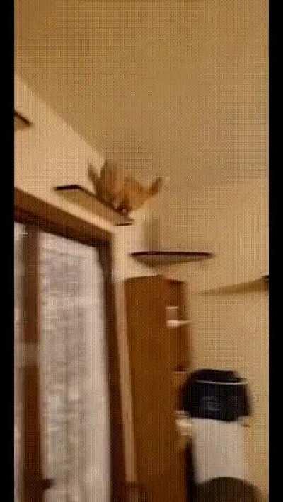 Second level, what's next?