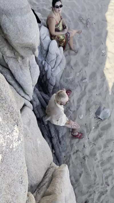 It sounds just like the sea so they didn't notice it