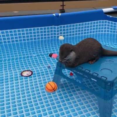 I think this belongs here :3