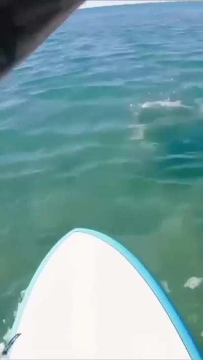 This how you know you are in the wrong place at the wrong time and with the wrong gear…