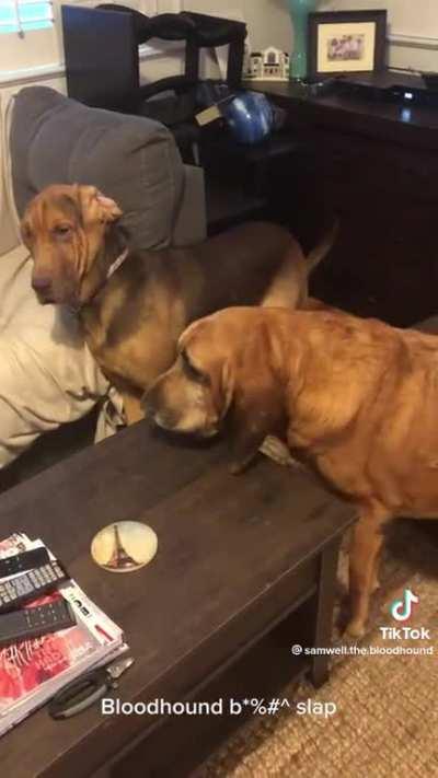 The third time is *chefs kiss*