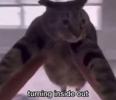 Me when booting up Castelvania