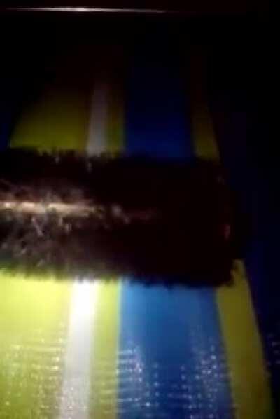 Se eu fosse você eu não tentaria a sorte garoto