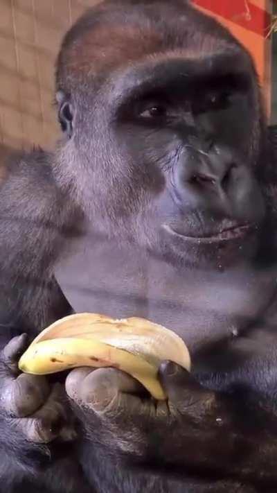 Eating a banana