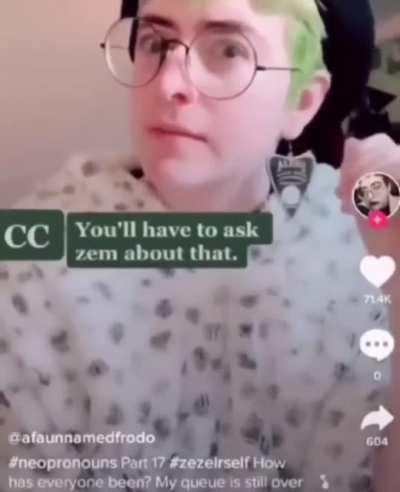 Zhey haben ein diary