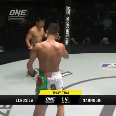 Crazy Fucking Ducking