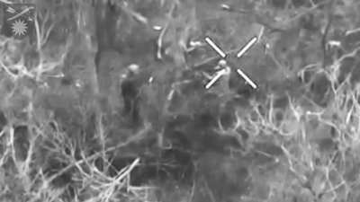 A Russian soldier shoots his comrade in the arm to avoid going on an assault - Limansky direction