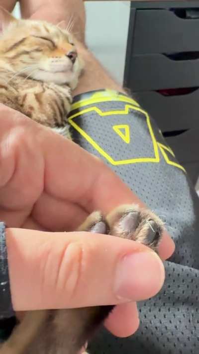 This is ok as long as the clippers aren’t around