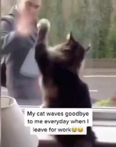 Goodbye, See you later