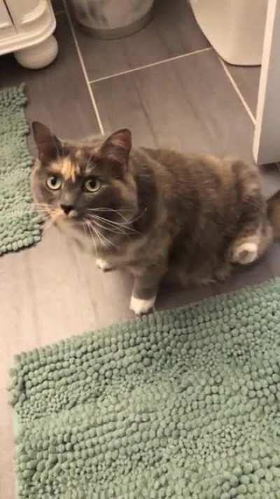 To scratch ears without back paws