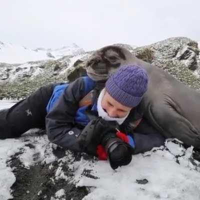 Unexpected consequences of wildlife photography